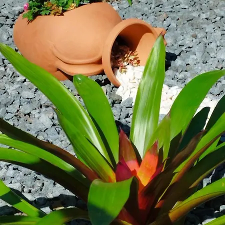 Ferienhaus Quinta Dos Sentidos Eco Nature Retreat In Azores *