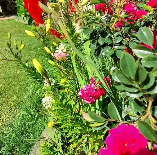 Дом отдыха Quinta Dos Sentidos Eco Nature Retreat In Azores Сан-Висенти-Феррейра