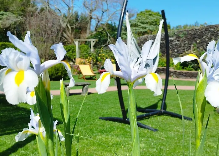 Дом отдыха Quinta Dos Sentidos Eco Nature Retreat In Azores Сан-Висенти-Феррейра