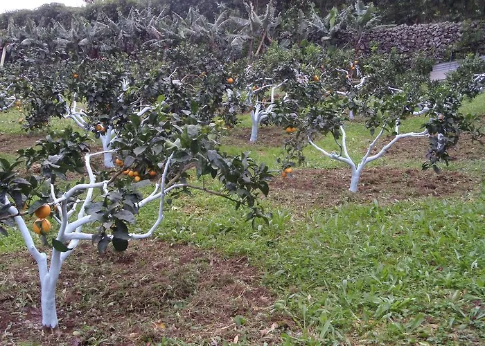 Quinta Dos Sentidos Eco Nature Retreat In Azores Дом отдыха