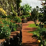Quinta Dos Sentidos Eco Nature Retreat In Azores Feriehus *