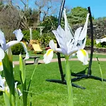 Semesterbostad Quinta Dos Sentidos Eco Nature Retreat In Azores São Vicente Ferreira