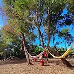 Quinta Dos Sentidos Eco Nature Retreat In Azores São Vicente Ferreira