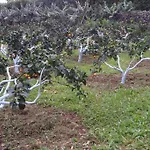 Quinta Dos Sentidos Eco Nature Retreat In Azores Holiday home