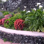 Quinta Dos Sentidos Eco Nature Retreat In Azores * São Vicente Ferreira
