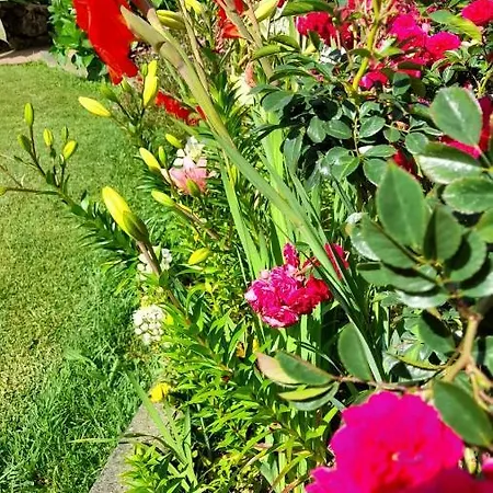 Casa de Férias Quinta Dos Sentidos Eco Nature Retreat In Azores Açores