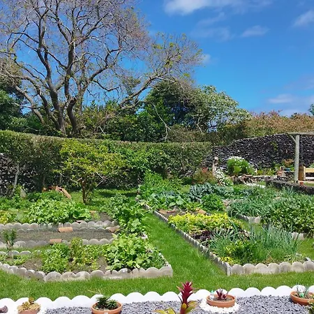 Quinta Dos Sentidos Eco Nature Retreat In Azores * São Vicente Ferreira