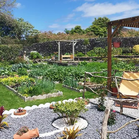 Quinta Dos Sentidos Eco Nature Retreat In Azores Feriehus São Vicente Ferreira