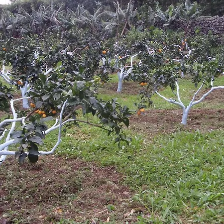 Quinta Dos Sentidos Eco Nature Retreat In Azores Feriehus
