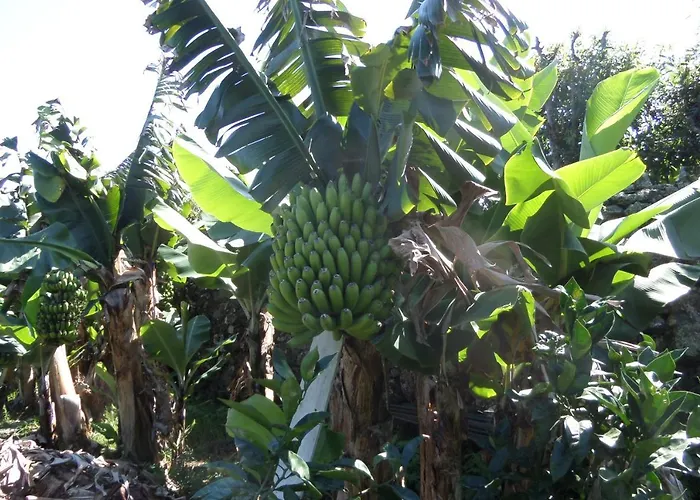 Quinta Dos Sentidos Eco Nature Retreat In Azores São Vicente Ferreira