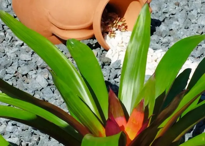 Hébergement de vacances Quinta Dos Sentidos Eco Nature Retreat In Azores *